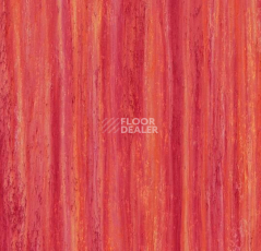 Линолеум Forbo Marmoleum Decibel on Order 524235 red roses фото 1 | FLOORDEALER